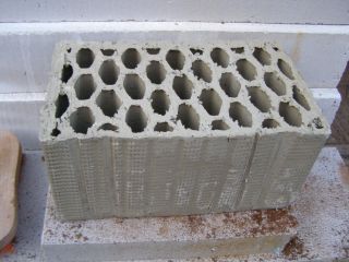 P1250867-1.jpg