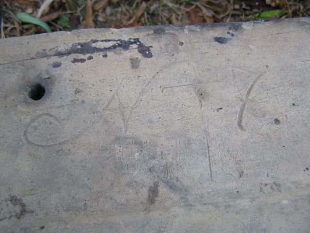 P8231886-2.jpg