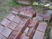 P1230827-1.jpg
