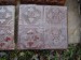 P1230826-1.jpg