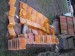 P1250869-1.jpg