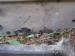 P8231885-2.jpg