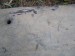 P8231886-2.jpg