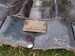 P1010009.jpg